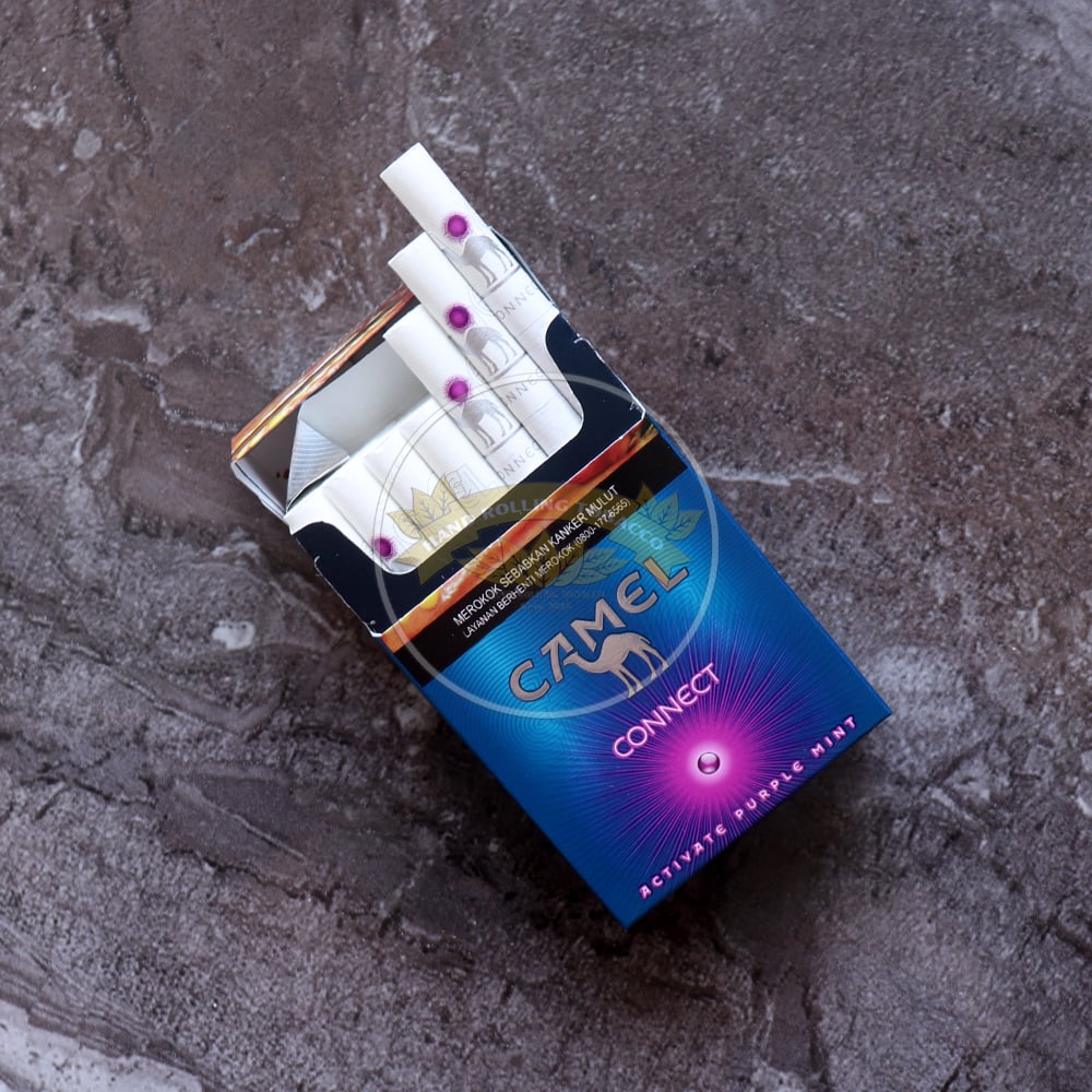 Camel Connect Activate Purple Mint - Image 6